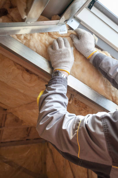 Best Fiberglass Insulation  in North Hornell, NY